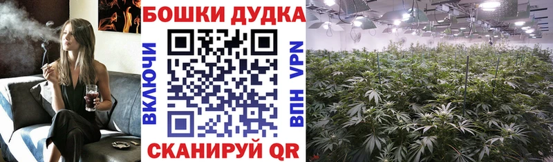 Где купить Гай blacksprut зеркало  Кокаин  АМФЕТАМИН  МЕФ  Марихуана 