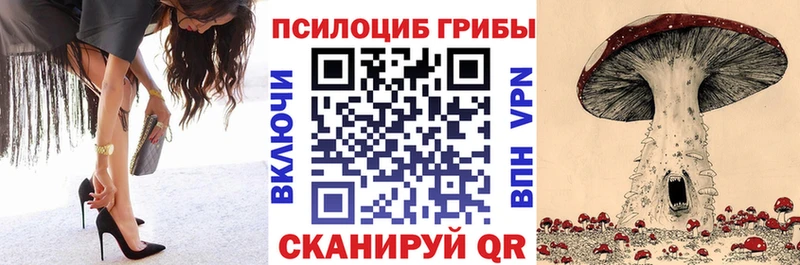 Псилоцибиновые грибы Psilocybe  Гай 