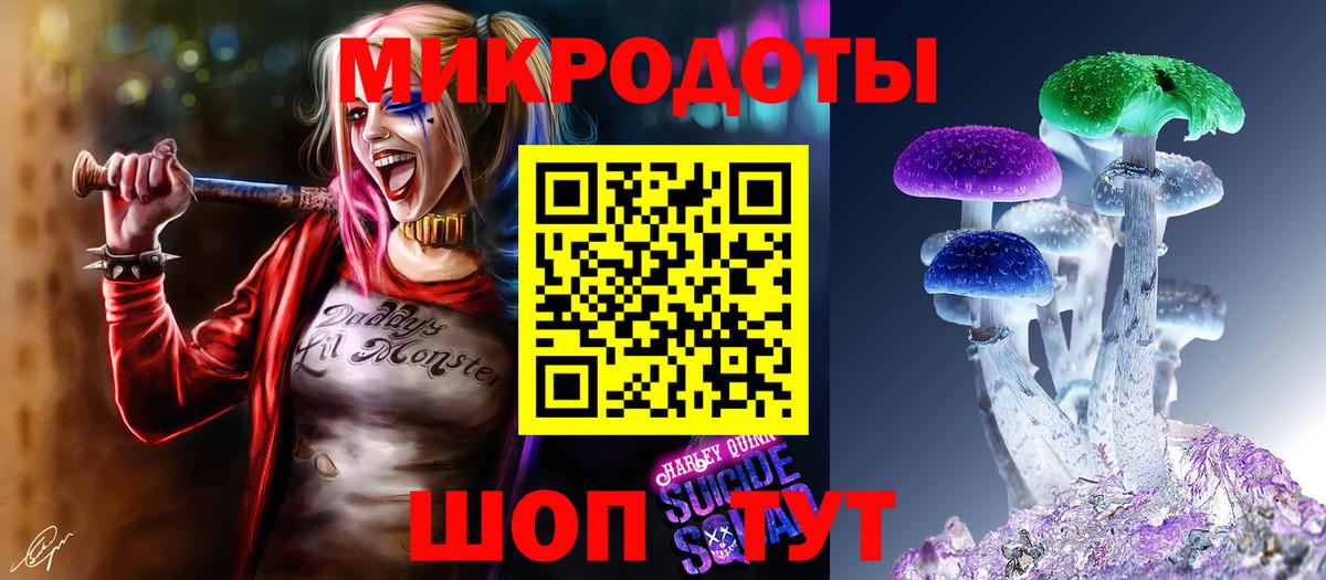 Галлюциногенные грибы Cubensis  Вход с VPN  Гай 