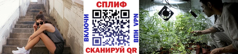 Конопля AK-47 Гай