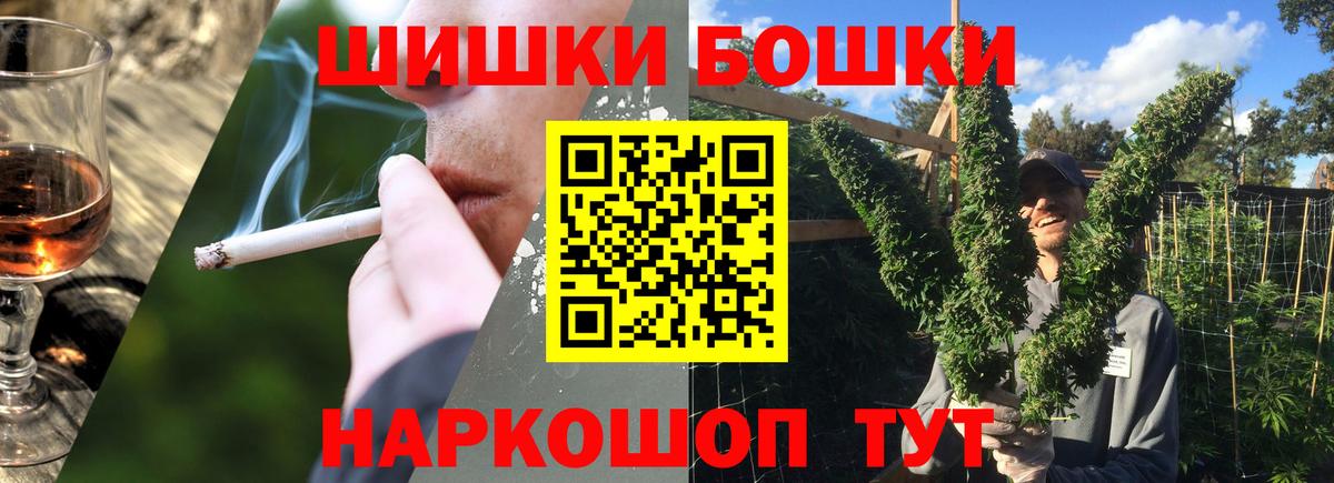 Канабис ГИДРОПОН Гай