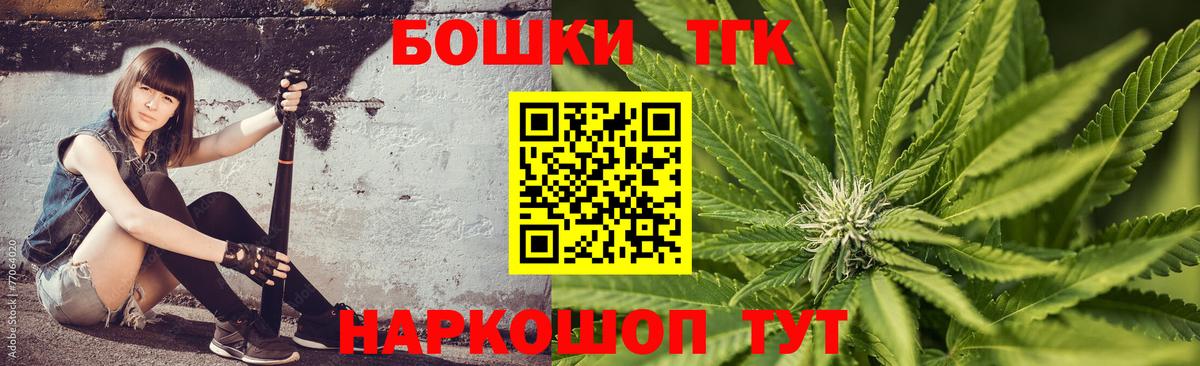 Канабис сатива  Вход с VPN  Шишки марихуана планчик  Гай 